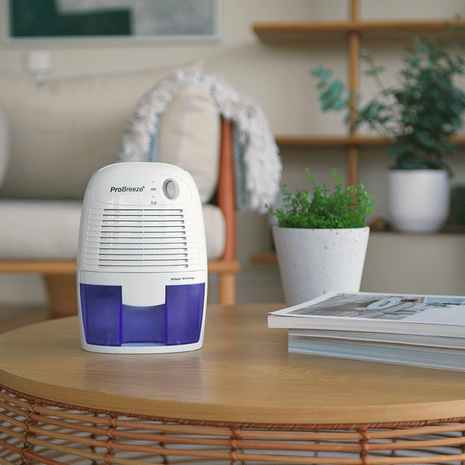17 Ounce Mini Dehumidifier