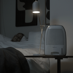 Déshumidificateur de qualité supérieure de 52 onces