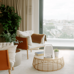 Déshumidificateur de qualité supérieure de 52 onces